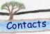 Contacts